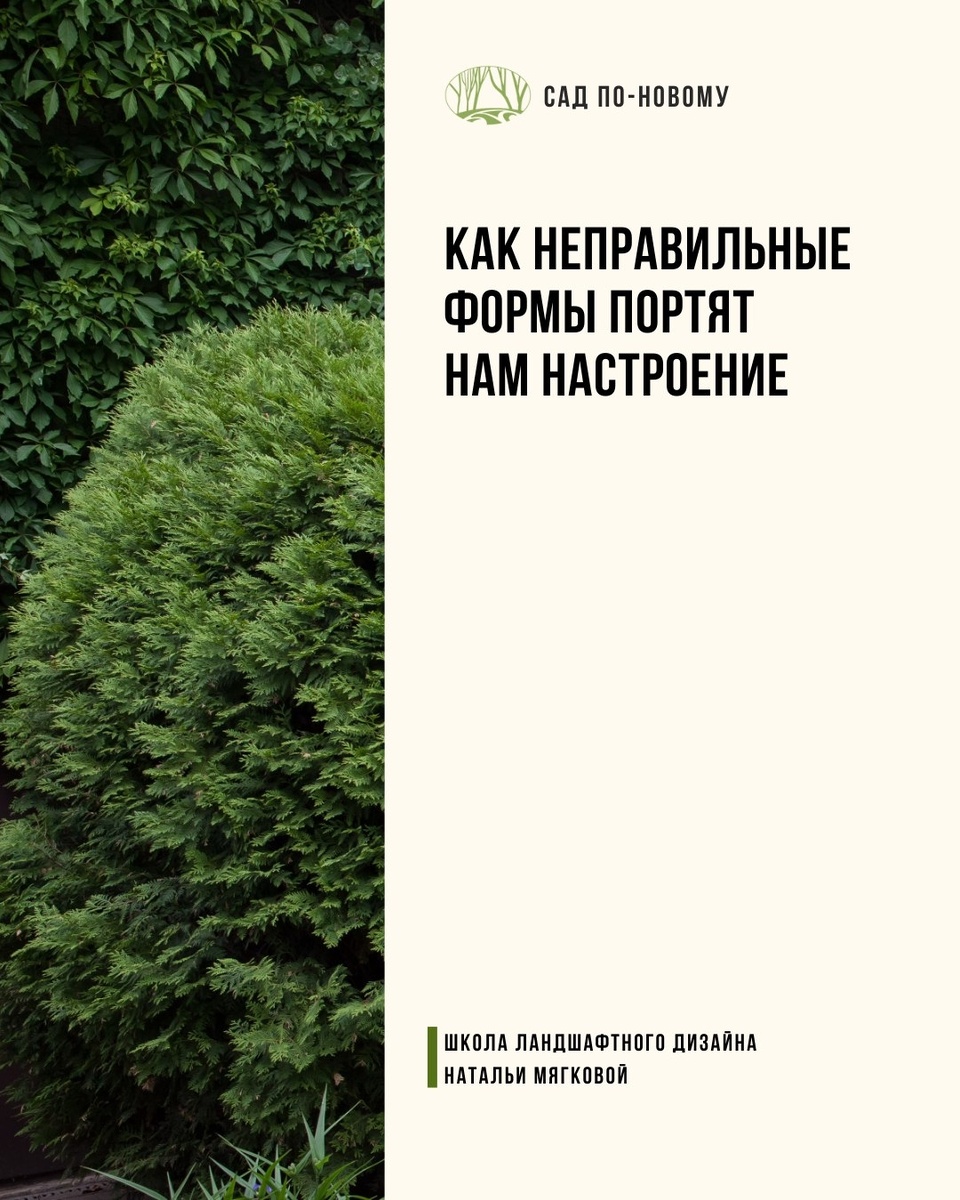 Листайте галерею по стрелке вправо 