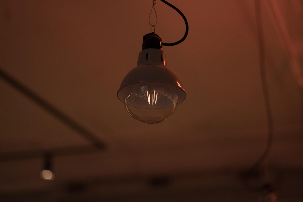 Фото: freepik.com  📷
