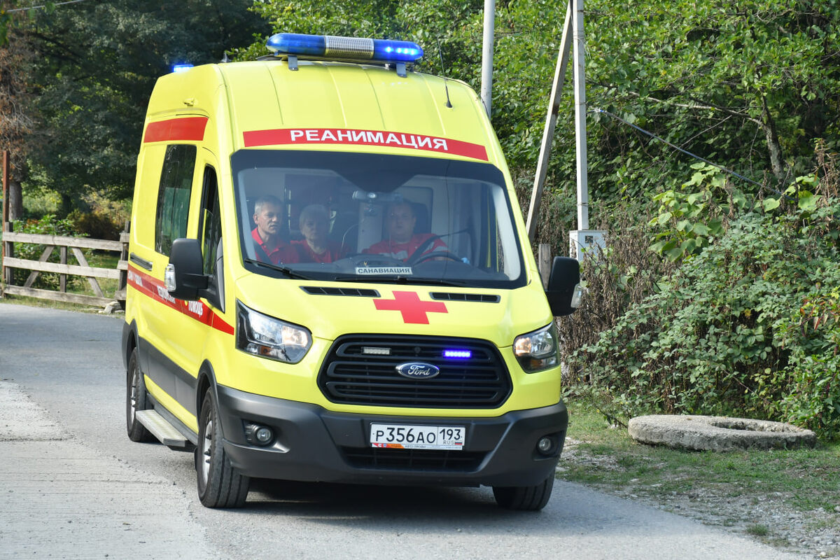 фото: Сочи 24  📷
