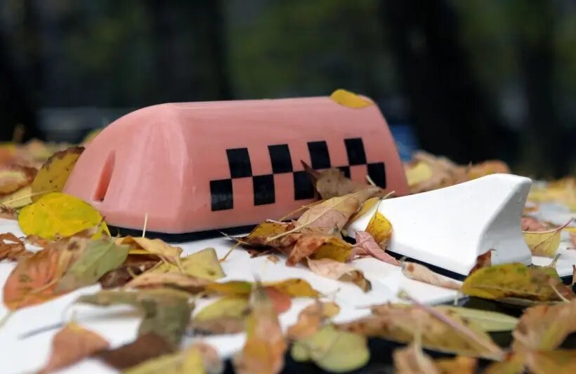     © РИА Новости. Мария Девахина