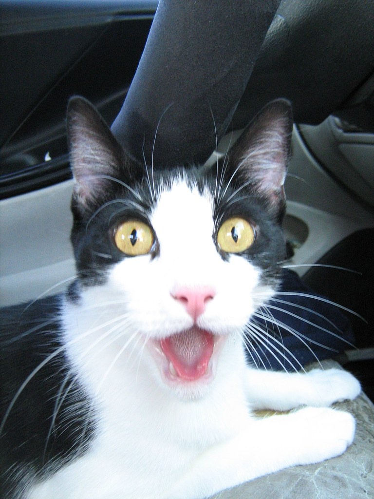 В смысле - наполовину?! Я думала, я целая женщина!