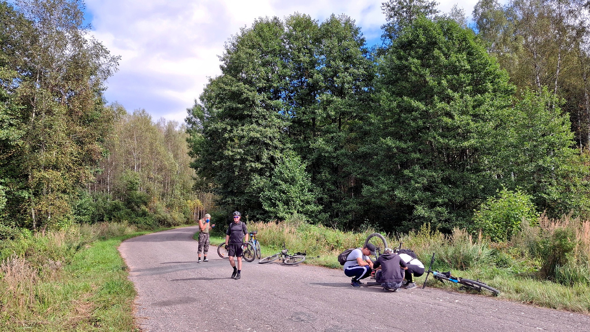 Ремонт велика