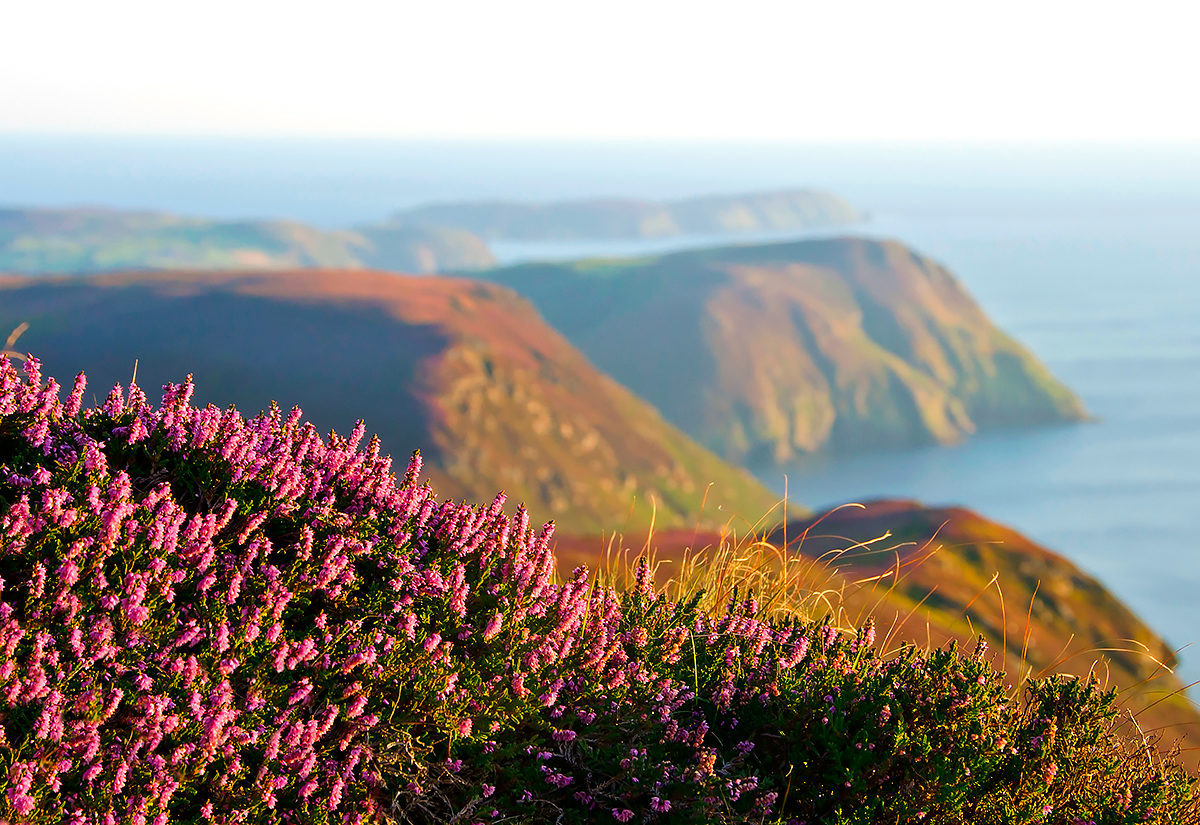 Пейзаж острова Мэн