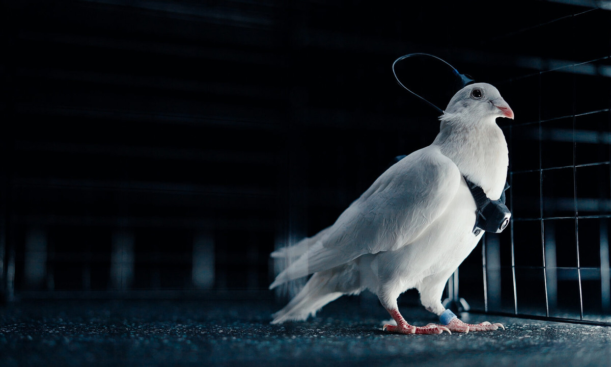 Фото Niery  📷
