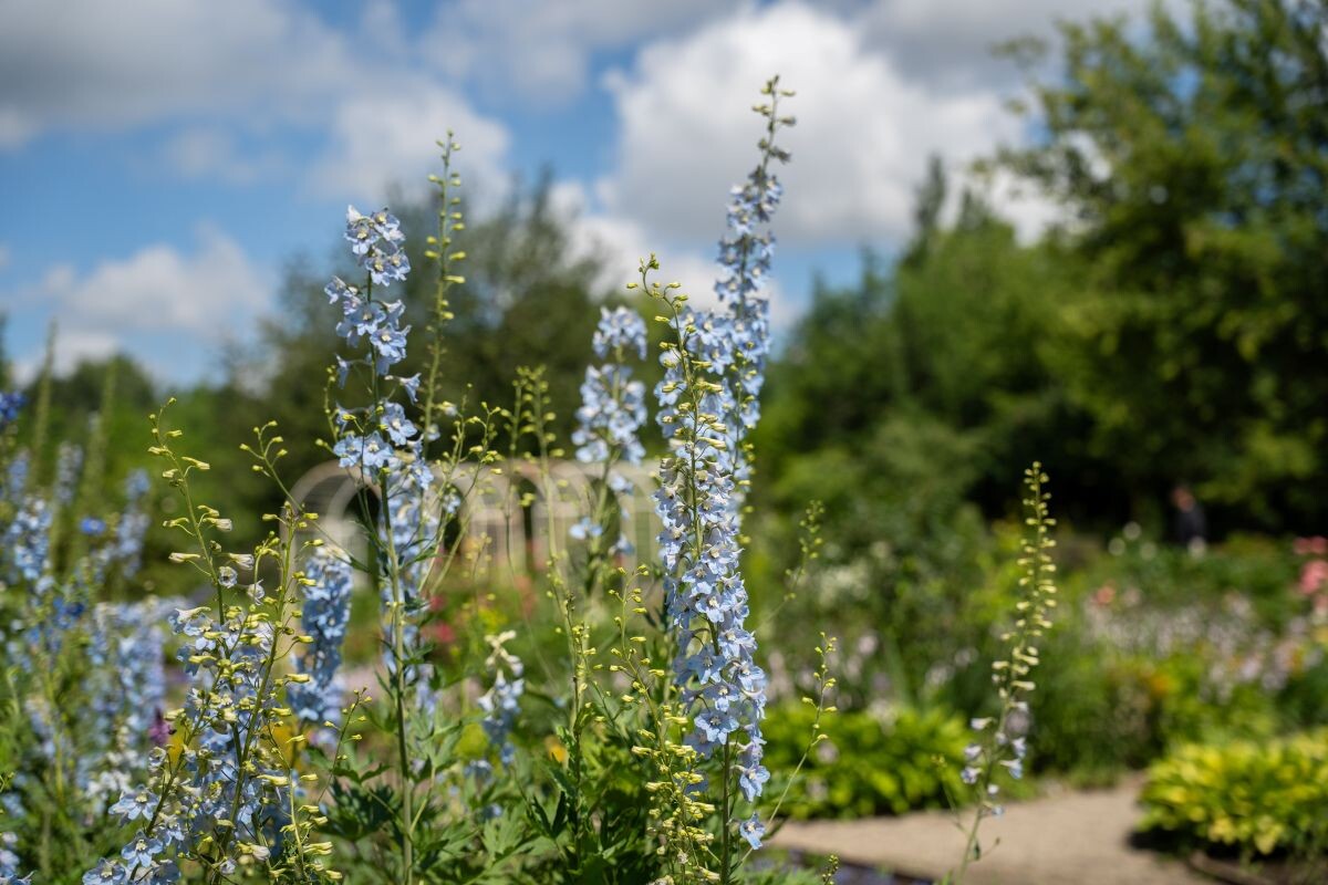 Фото: Александр Плонский / «Агроэксперт»