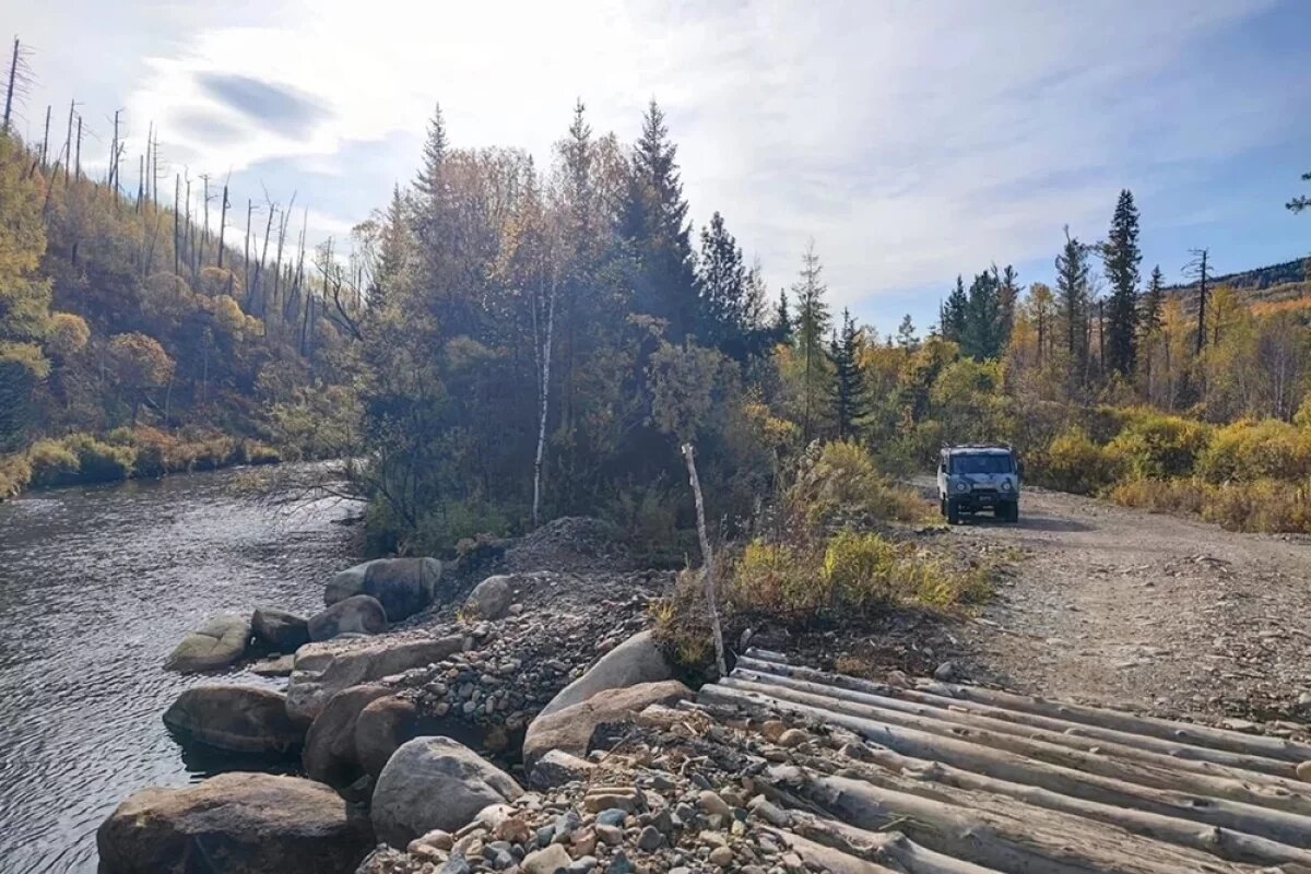    Зоолог Рыбалтовский сказал о ядовитых змеях в тайге, где пропали Усольцевы