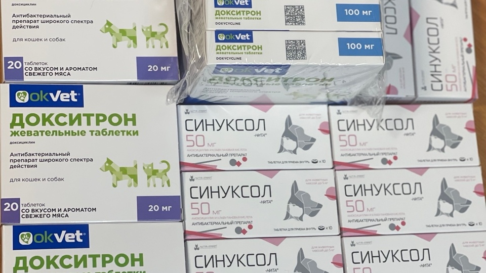 Друзья, приют очень нуждается в вашей помощи!!! Поддержите нас, пожалуйста!!!