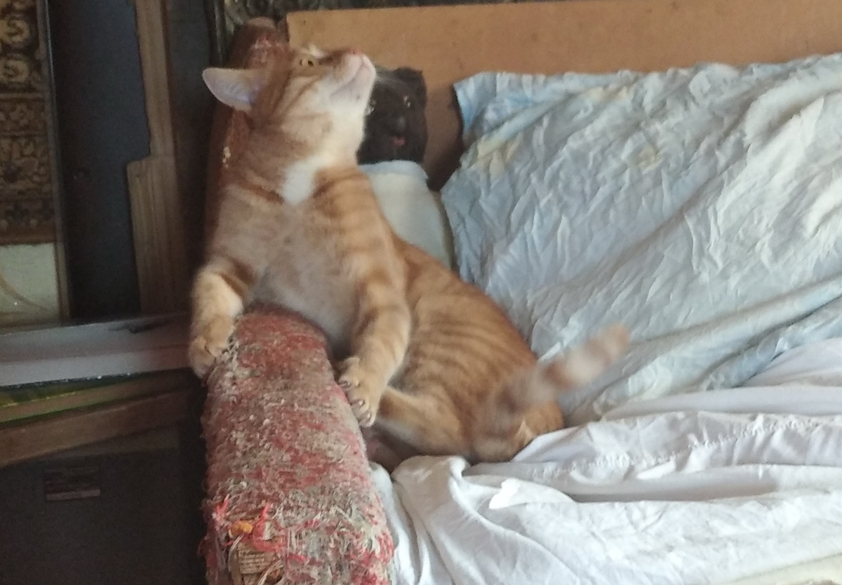 личное фото