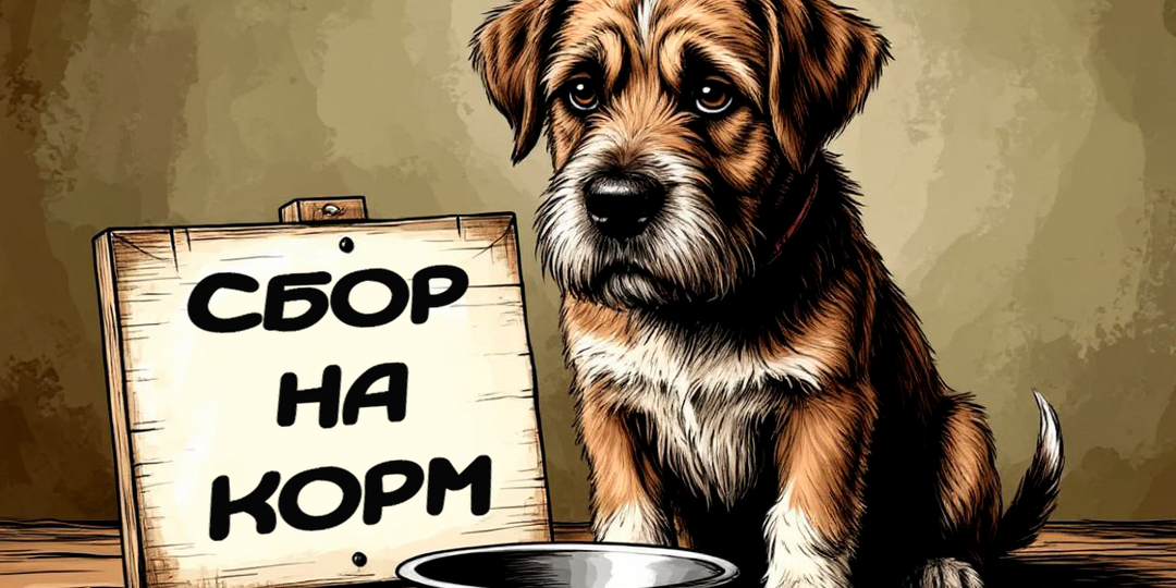 ❄️ Уютный дом для 12 сердец ждет вашей помощи: помогите нашей небольшой домашней передержке! 🐾