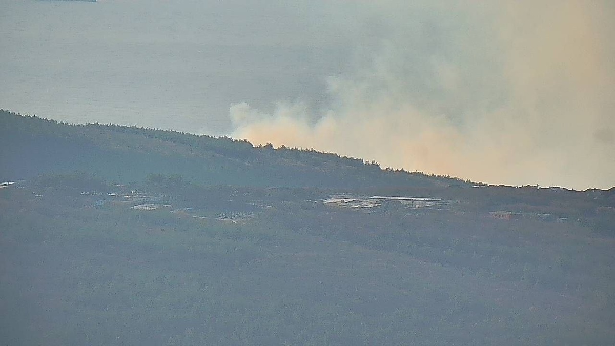    Фото t.me/krd_klpc