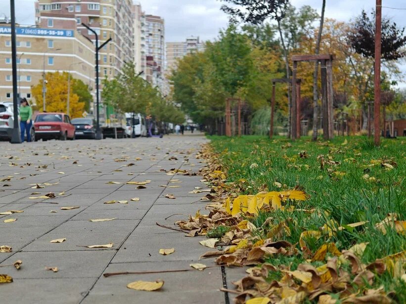    Фото: Юрий Серебренников/BFM Кубань