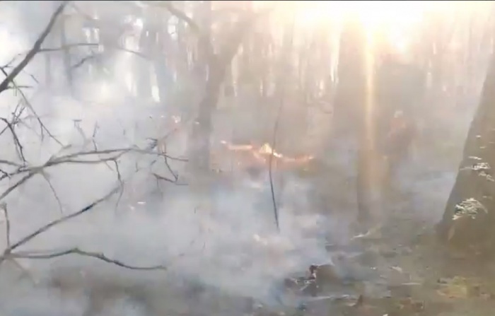     ГБУ КК «Краевой лесопожарный центр»