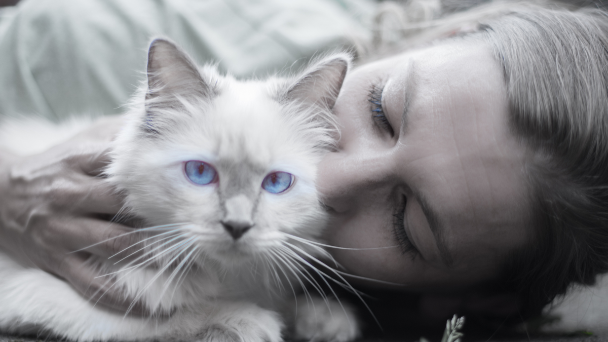 Тискать кошку — не признак любви, а стресс для питомца. Объясняет ветеринар.