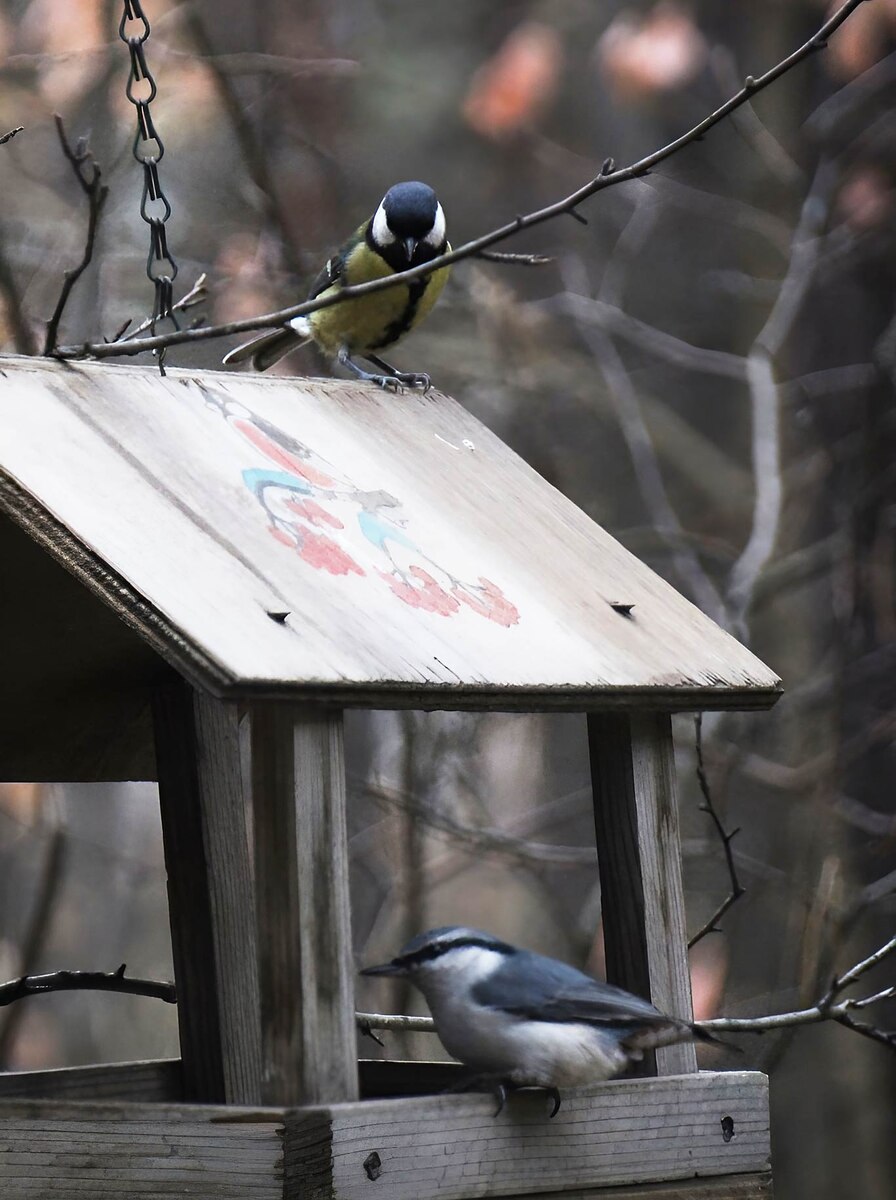 Фото Софии ИГНАТОВИЧ.