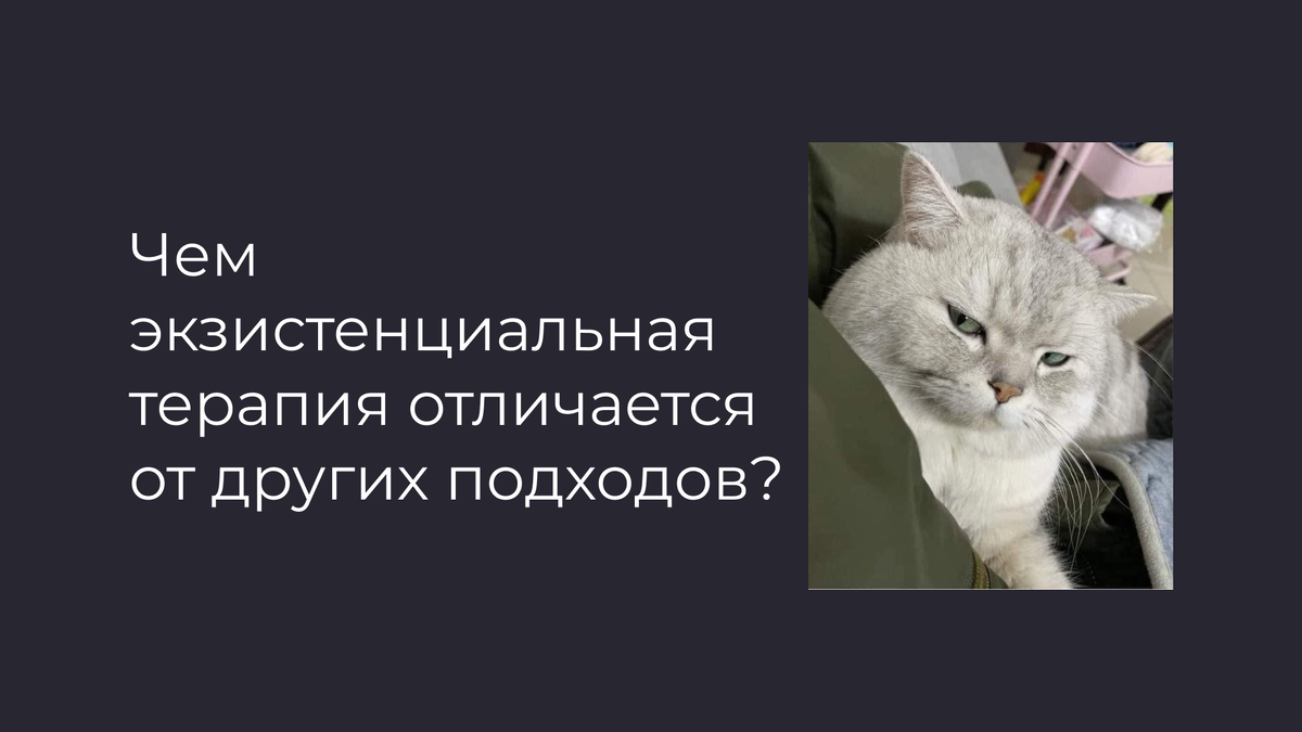 Экзистенциальная психотерапия. Натали Поленова, психолог. Онлайн и очно (СПб)