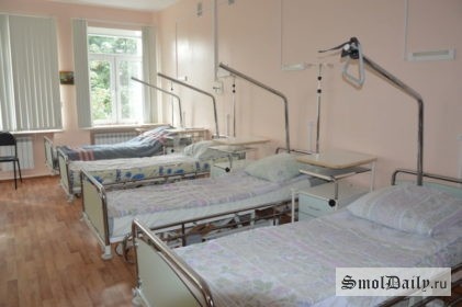 Фото: Елена Костюченкова press  📷
