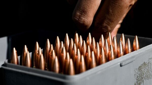    © Sputnik / Станислав Красильников