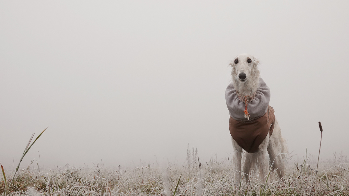 Фоточки будут только свежие
