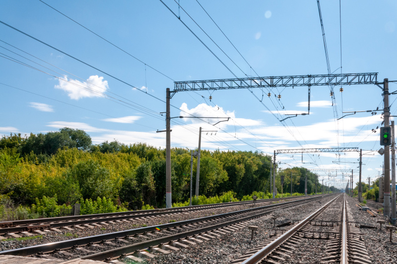    Фото: Svetlana Vozmilova/Globallookpress