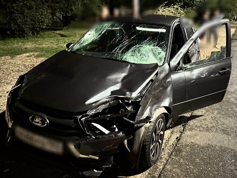    Фото: пресс-служба МВД по Краснодарскому краю