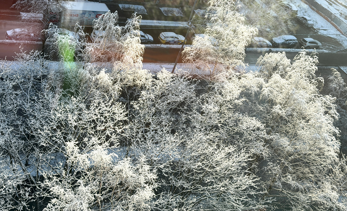 Вид из московского окна позавчера.