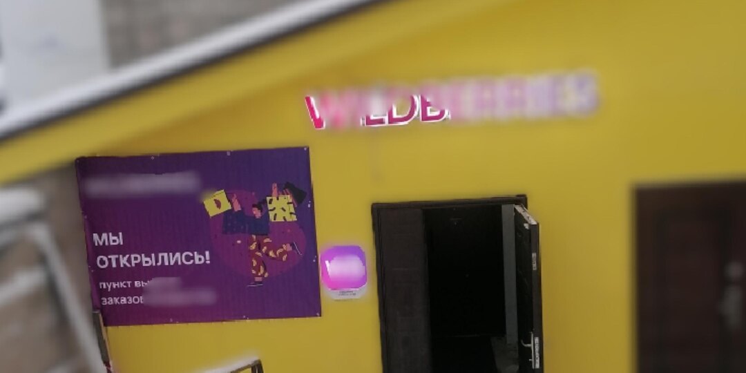 Менеджер «Вайлдберриз» в Плесецке присвоила почти полмиллиона рублей