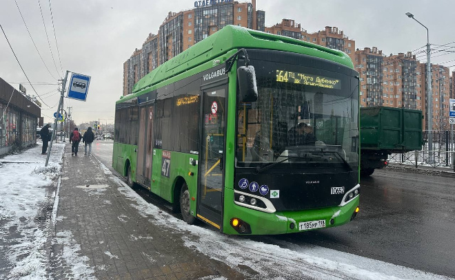    © Заневское городское поселение