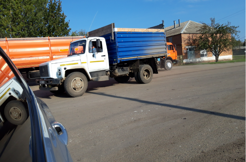 Фото автора. Осень 2025. Станица.