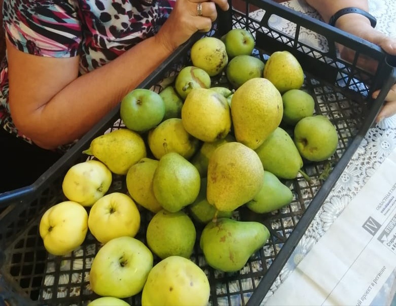 Фото автора.