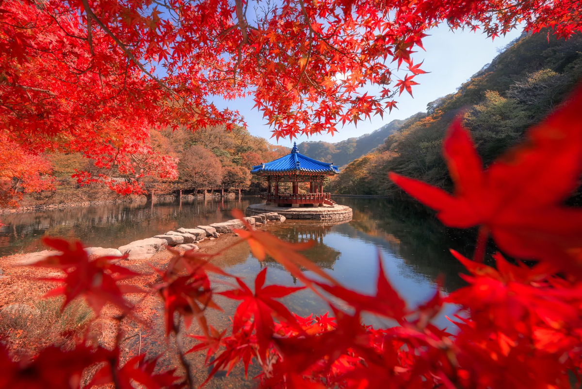 Южная Корея