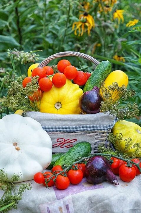 Фото из интернета