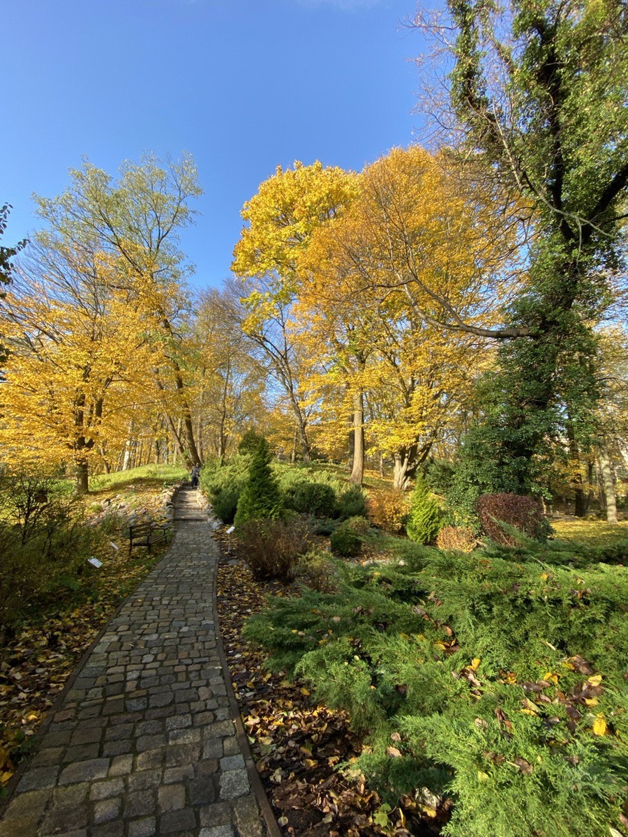 Ландшафтный парк в Калиниграде.