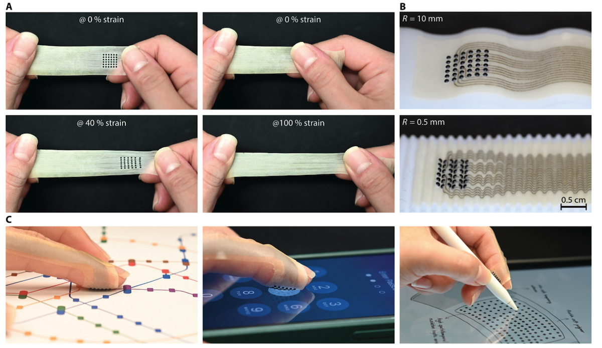    Полное представление пластыря. Изображение: science.org