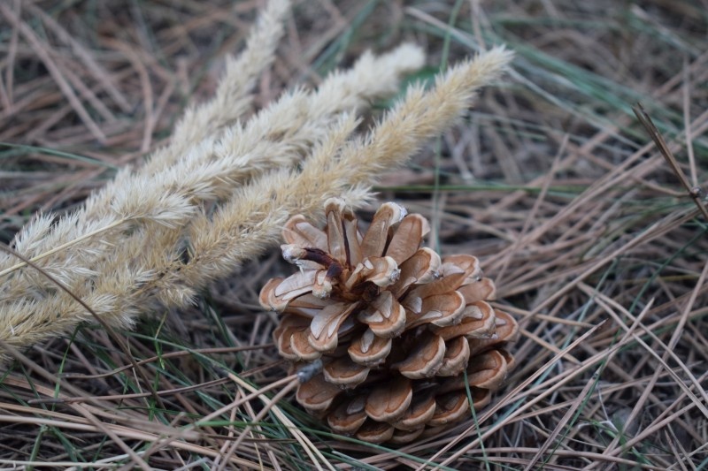   Фото из архива редакции Валерия Стальная
