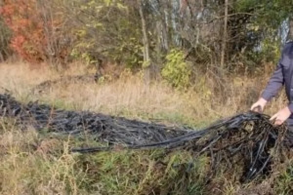    Под Волгоградом на сельхозучастке обнаружили свалку