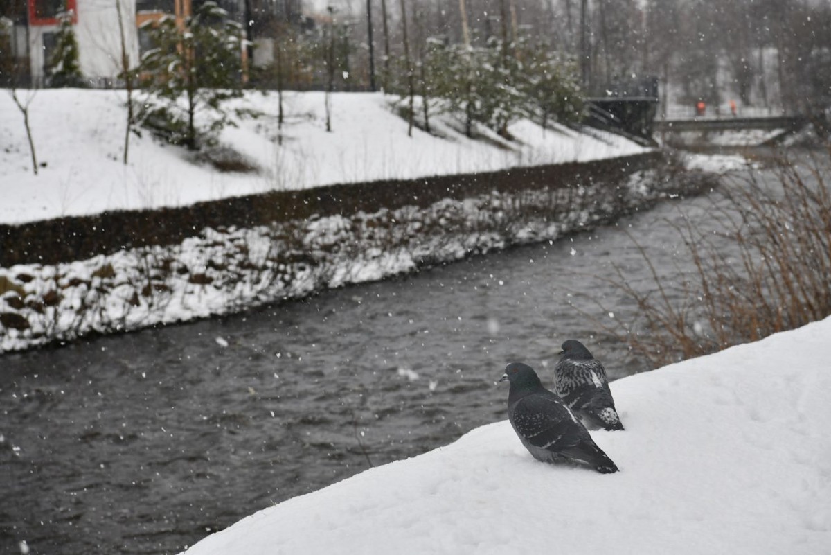    Фото: "Республика"/ Лилия Кончакова