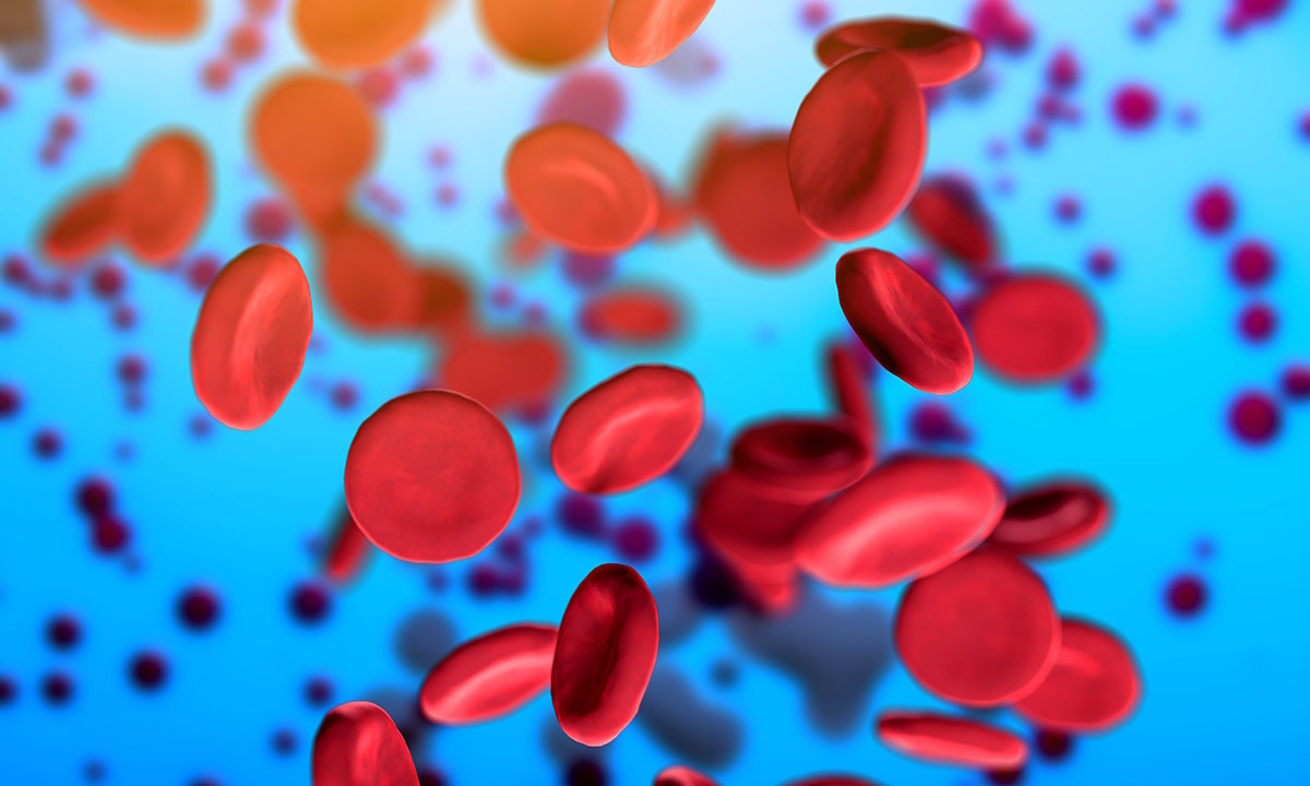 Фото freepik.com