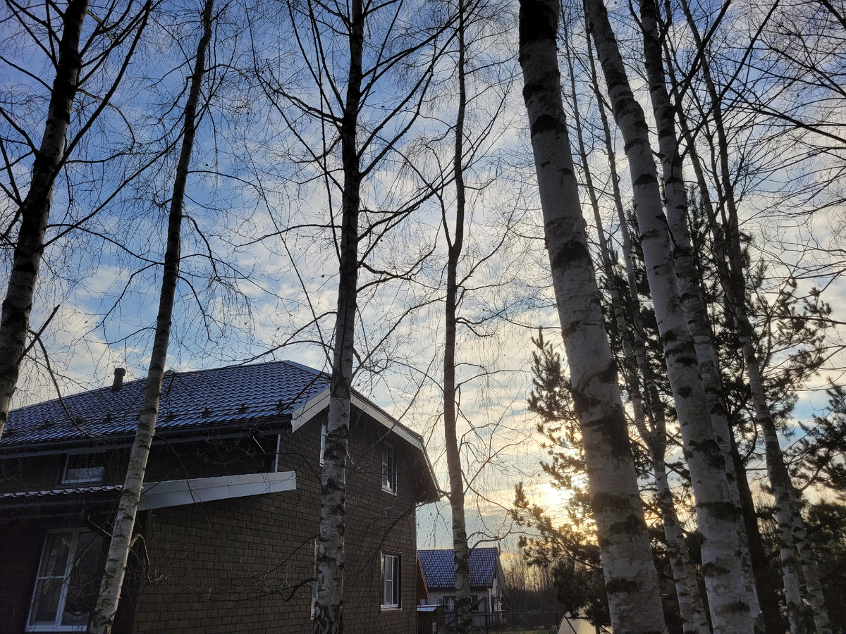 Сегодняшнее дачное утро