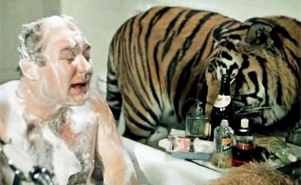 "Укротитель" тигров Евгений Леонов. Все иллюстрации - Яндекс-Картинки