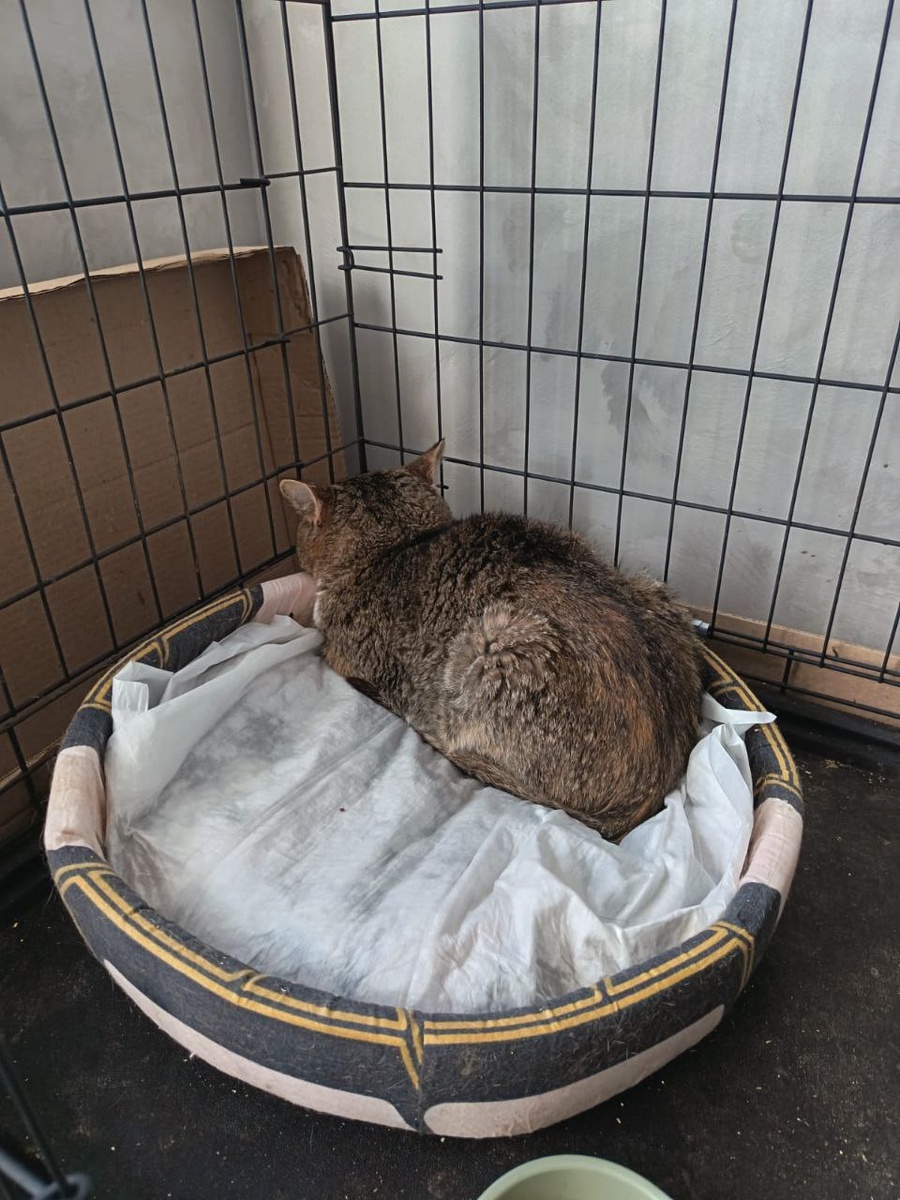 Когда увидела его таким, то аж взрогнула. Фото из архива автора