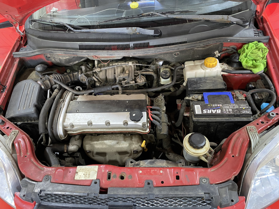 Поросёночек 🐷