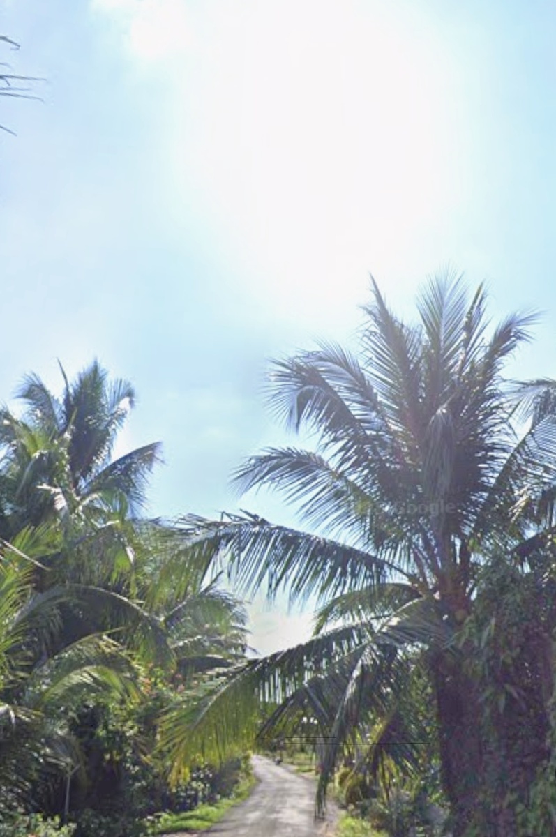 Гугл карты.