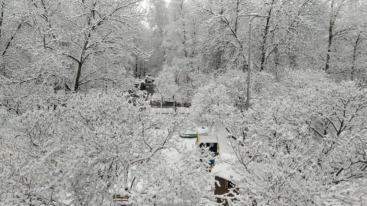 Вид из окна. Фото автора