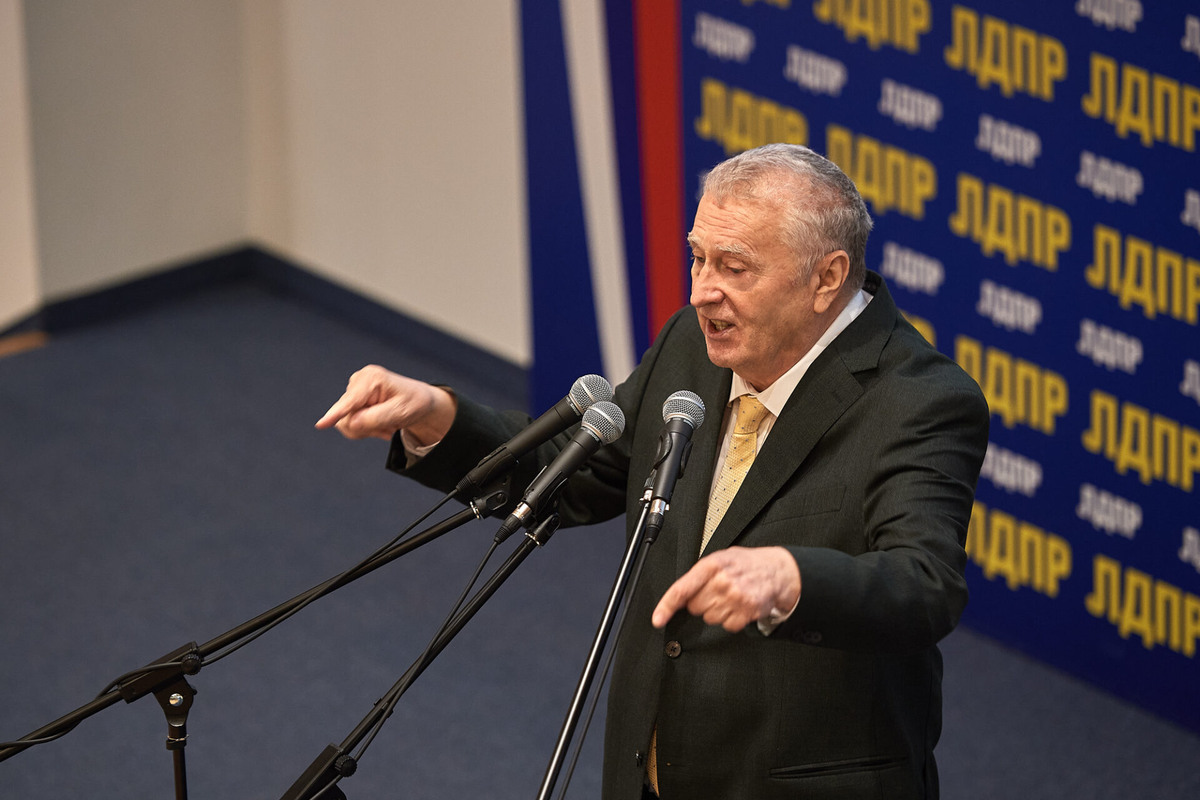    Владимир Жириновский, выступление в рамках празднования Дня народного единства. Фото - официальный сайт ЛДПР