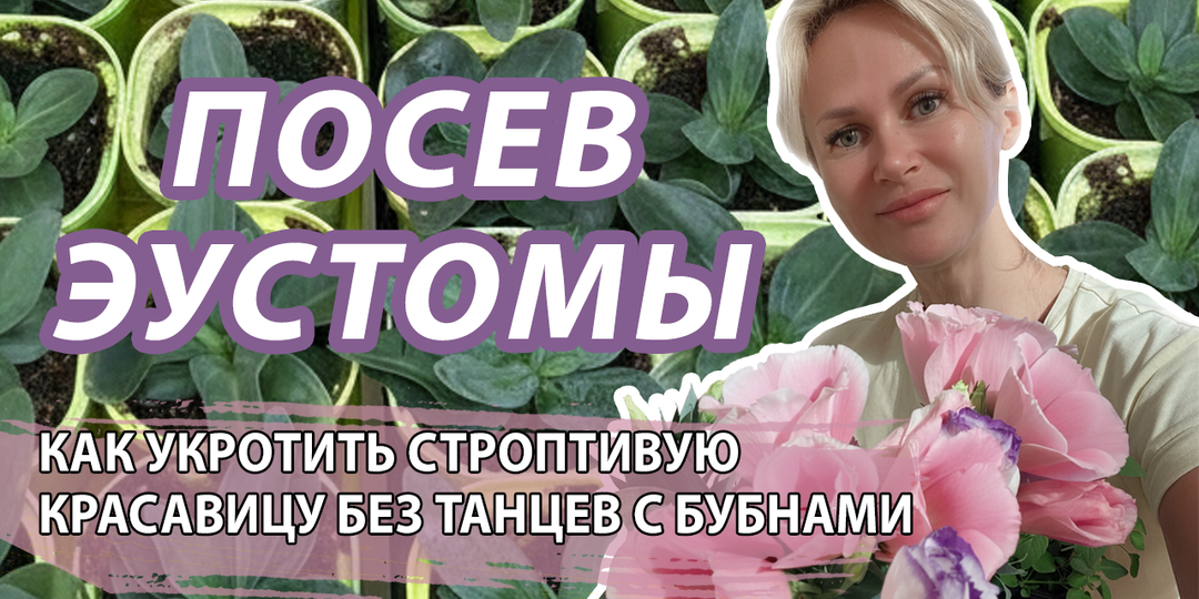 Покорение эустомы