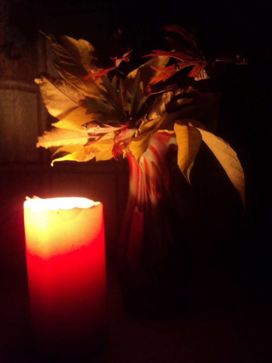 Авторское фото.