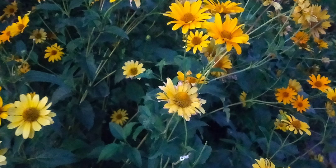 ЛУЧШЕ СРАЗУ ВСЁ УДАЛЯТЬ