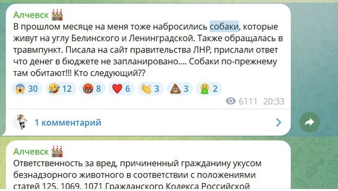    Бездомные собаки нападают на людей в Луганске и Алчевске. Как реагируют власти ЛНР?