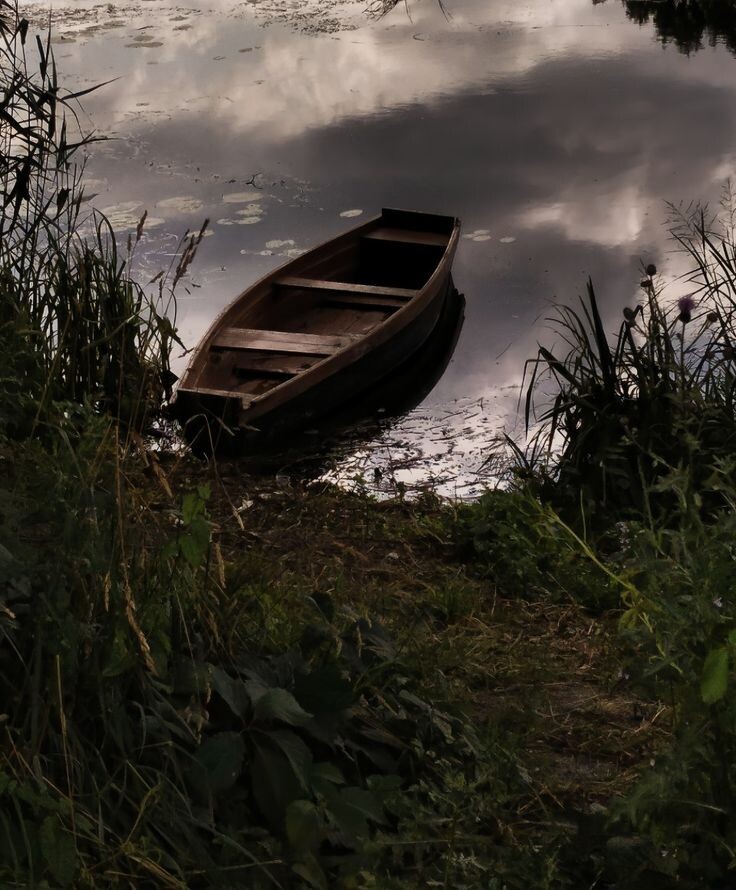 картинка из общего доступа