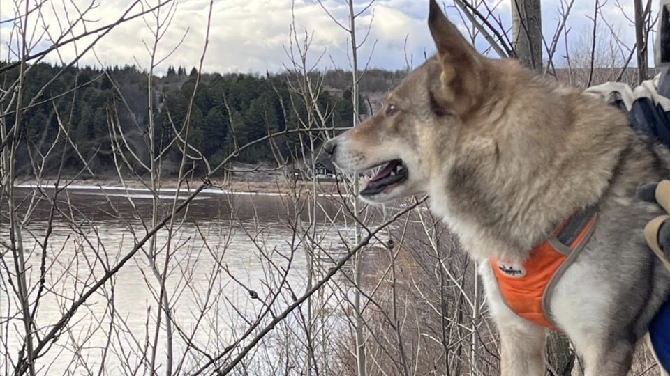 А чтобы ваше настроение перед сном стало ещё теплее, мы передаём привет от Зайки
